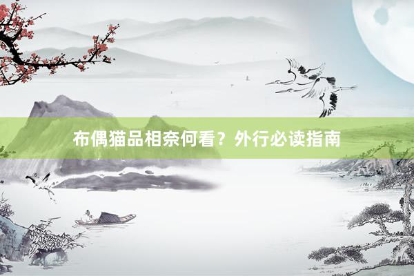布偶猫品相奈何看?外行必读指南