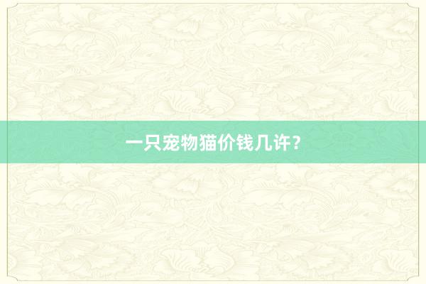一只宠物猫价钱几许？
