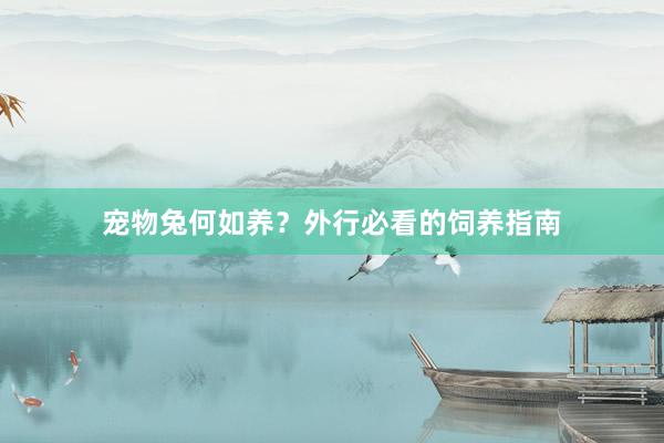 宠物兔何如养？外行必看的饲养指南